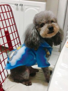 Otto, hoje com 16 anos pelas contas 83 anos