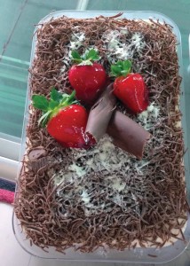 +Bolo-de-pote