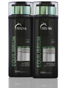 TRUSS_SH_COND_Equilibrium